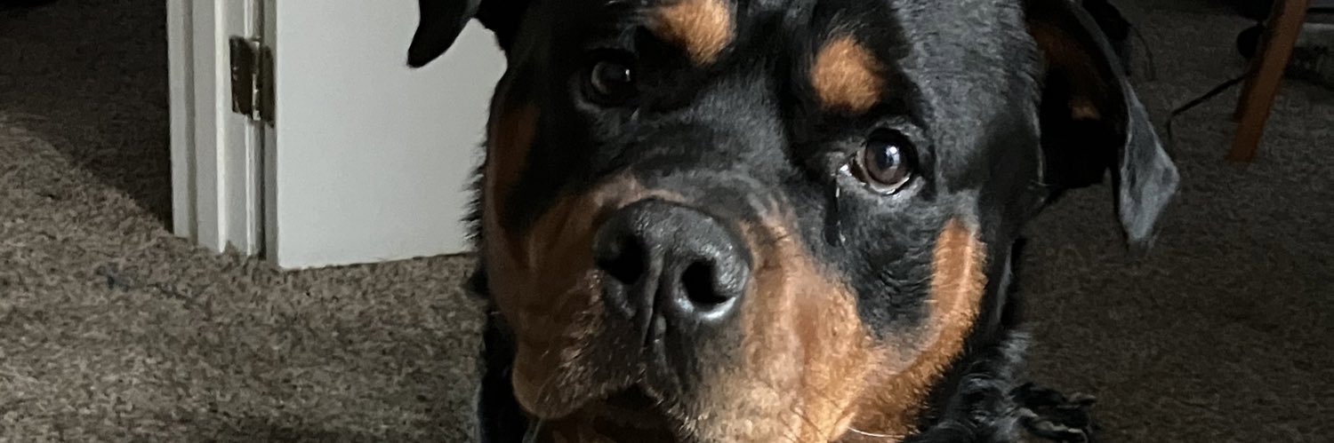 heeterjr's profile banner image