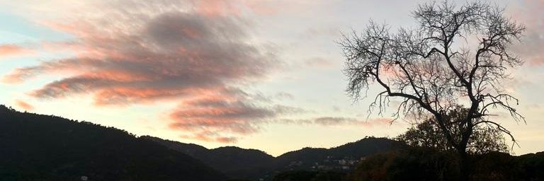 joiwel48's profile banner image