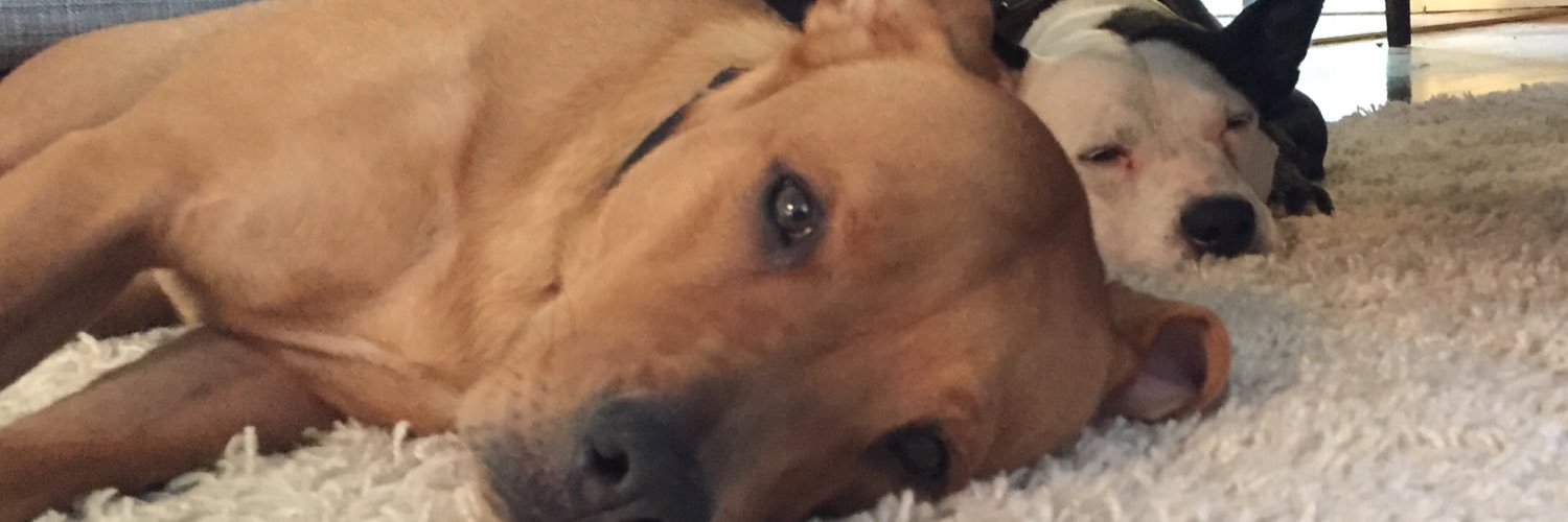 GreGaWillis's profile banner image
