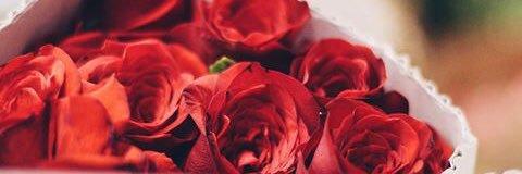 looma_Q1992's profile banner image