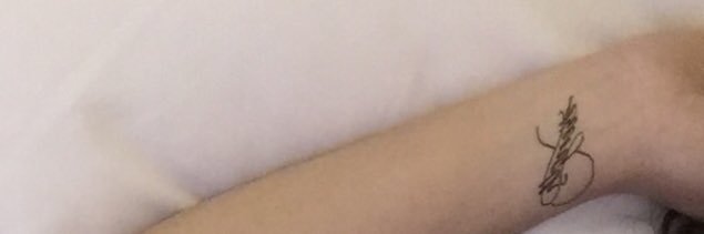 Nicholthirza_'s profile banner image