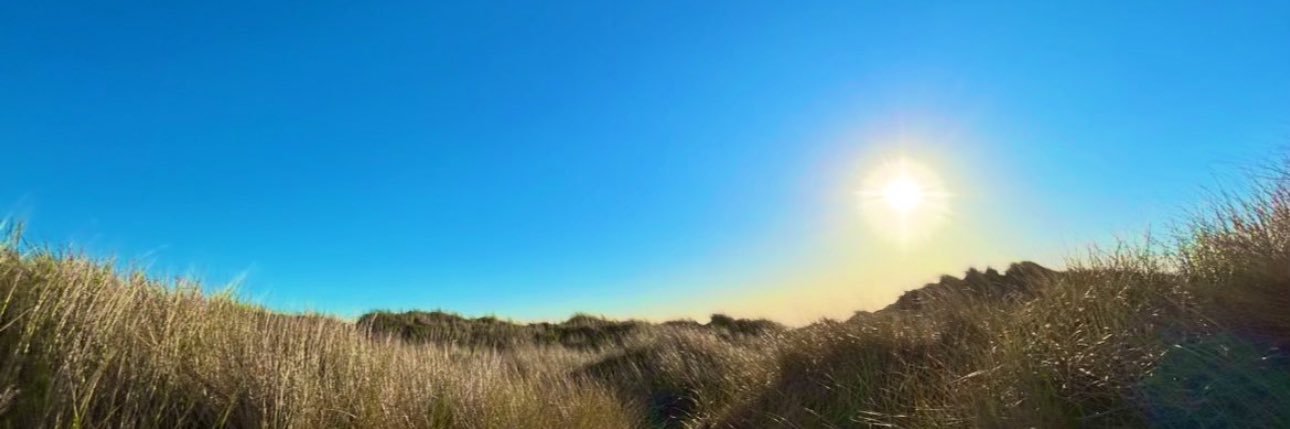 Percival 🏴‍☠️ banner