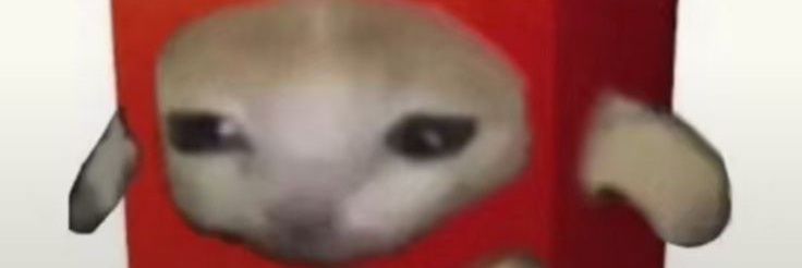 laamdiq's profile banner image