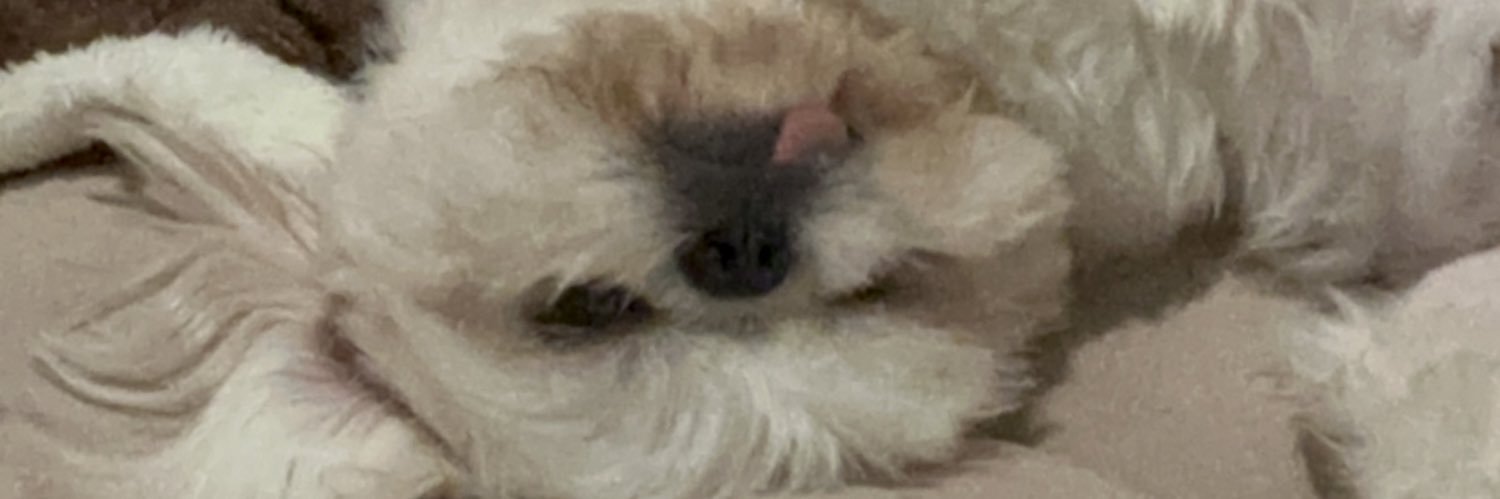 _valeriedavid's profile banner image