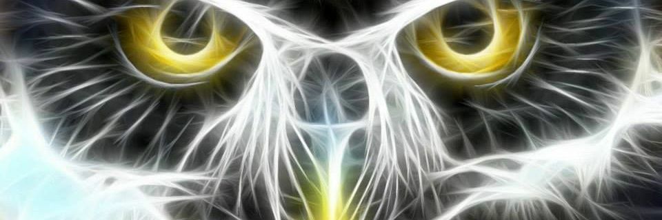 banged_banger's profile banner image