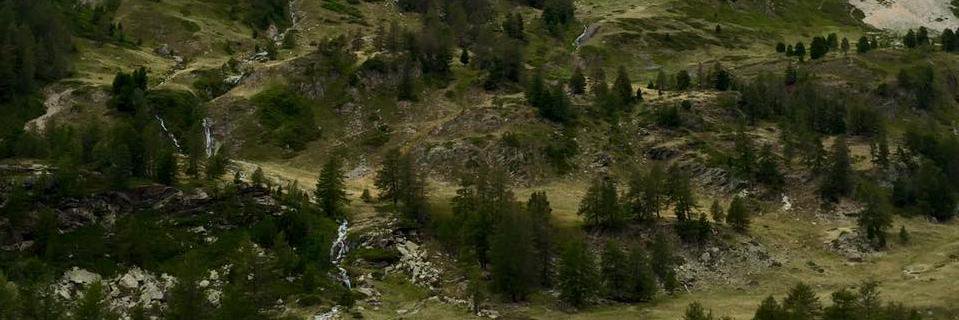 Ennio Martignago banner