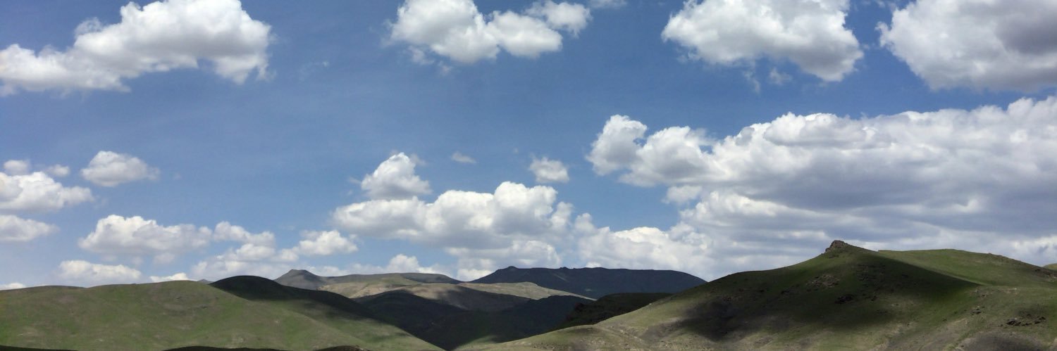 alimali's profile banner image