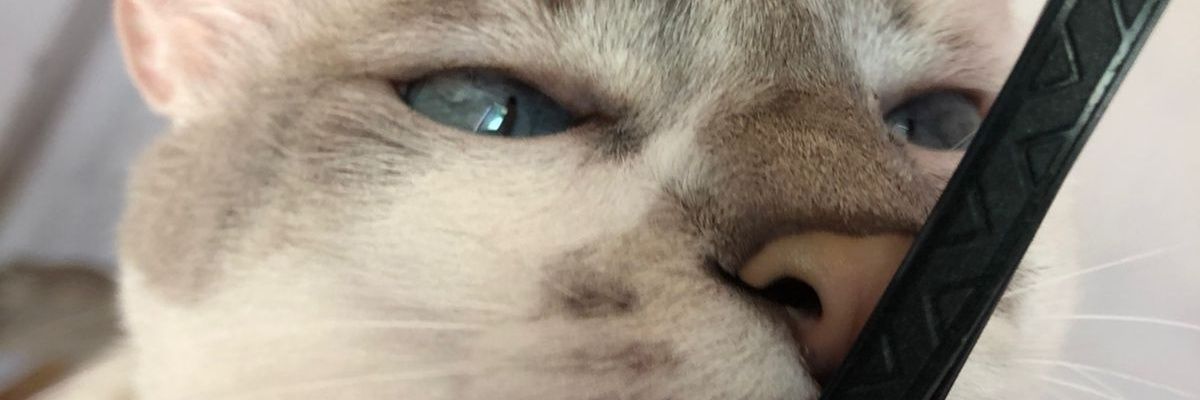 ErosIranzo's profile banner image