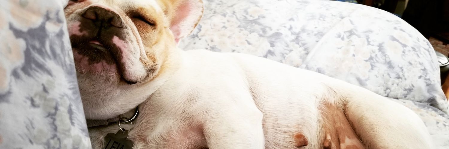 LJSupafly's profile banner image
