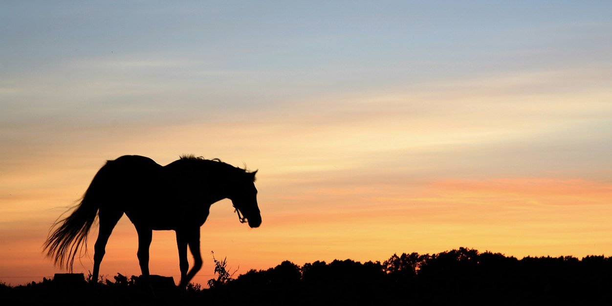 hayleepamer's profile banner image
