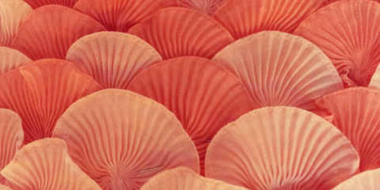 eunikeannetta's profile banner image