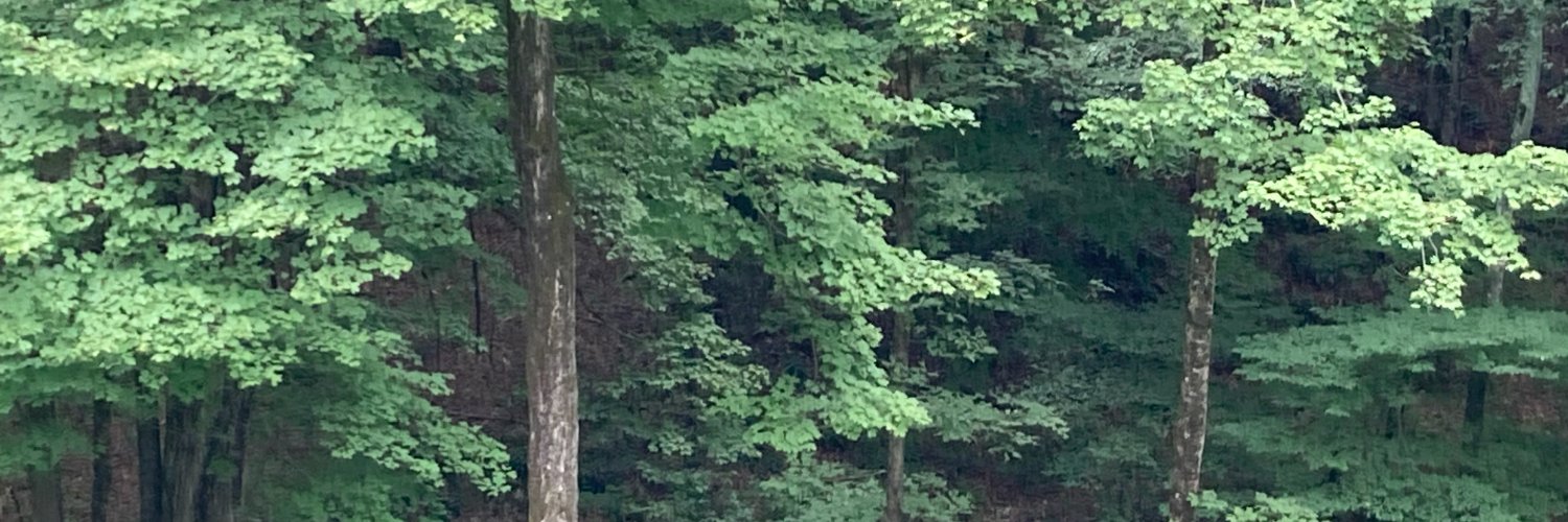 JulieRiesWriter's profile banner image