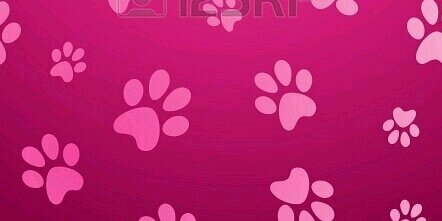 Love_Animales's profile banner image