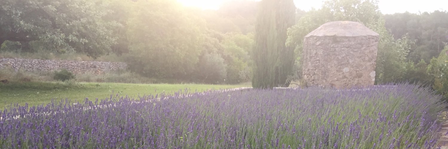 Chileyhu's profile banner image