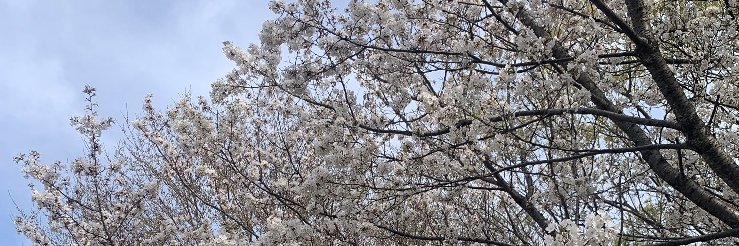 riu_k0's profile banner image