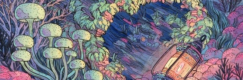 windupbird0's profile banner image