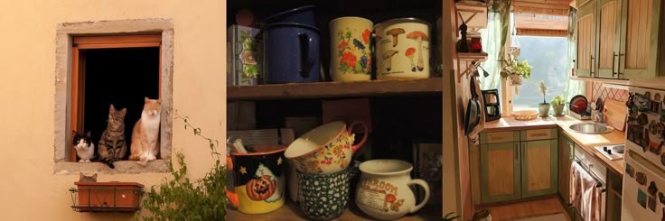 naewa WTS GITARRR banner