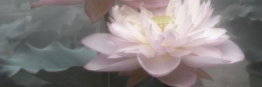 482jxg's profile banner image
