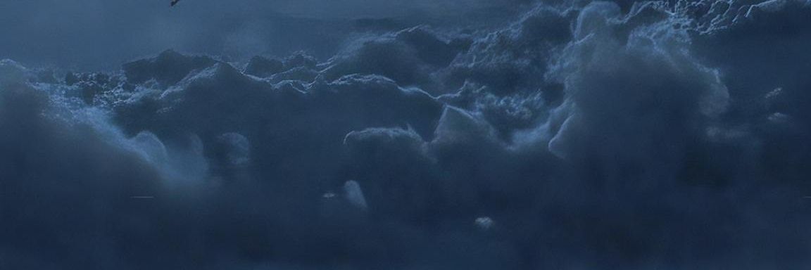 bieeentot's profile banner image
