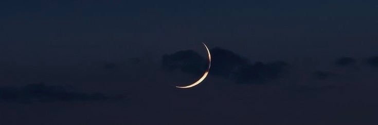 WIDECOAST's profile banner image