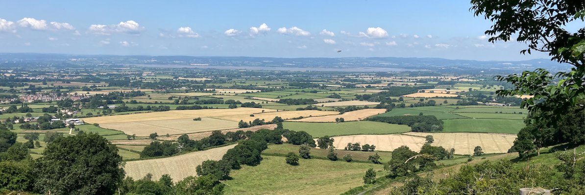 Victoria Edwards banner