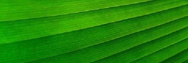 Jay_So1278's profile banner image