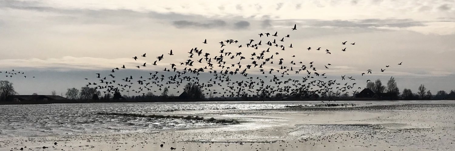 PETER BECKER  banner