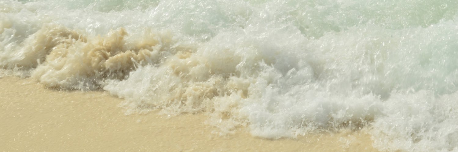 PammypamZz's profile banner image