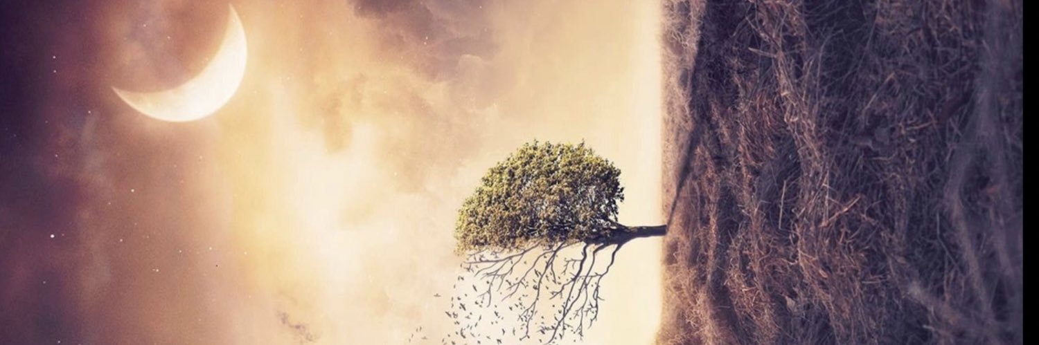servansuphi's profile banner image