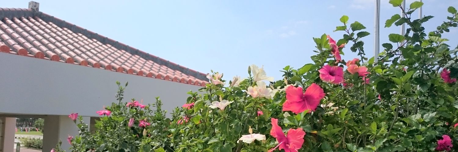 asami_jm's profile banner image