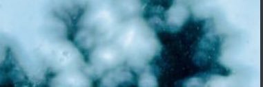 Xdelegate0's profile banner image