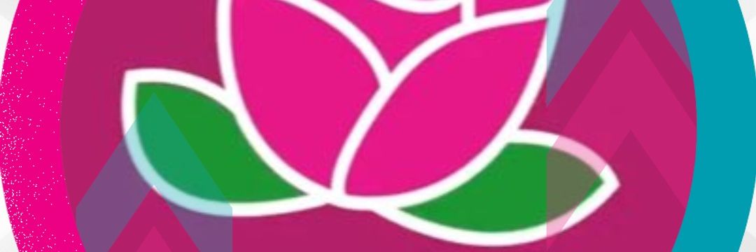 PazQt's profile banner image