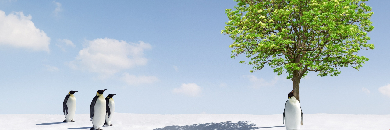 adam_romig's profile banner image