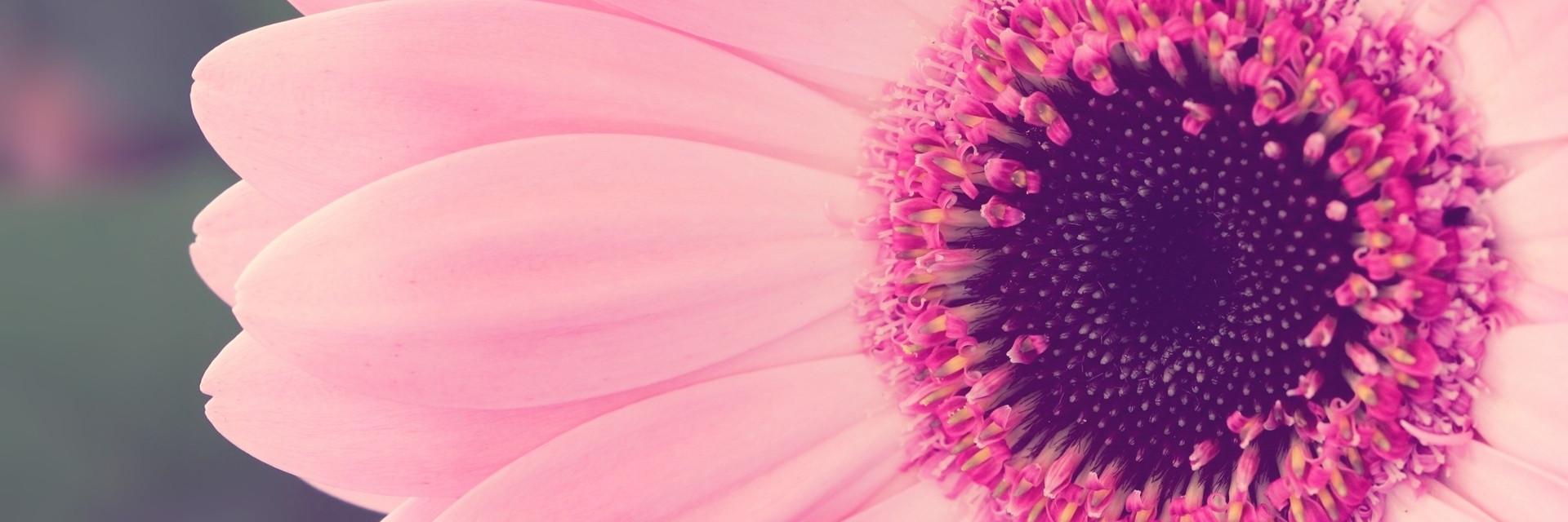 yubiigm's profile banner image