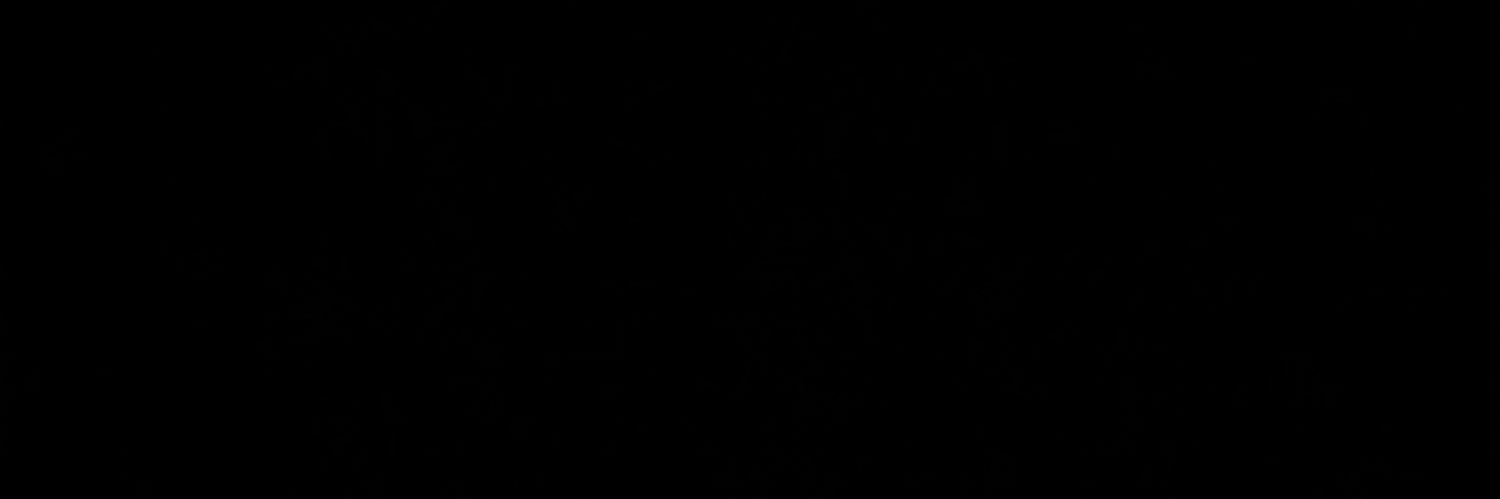 ossann3141's profile banner image