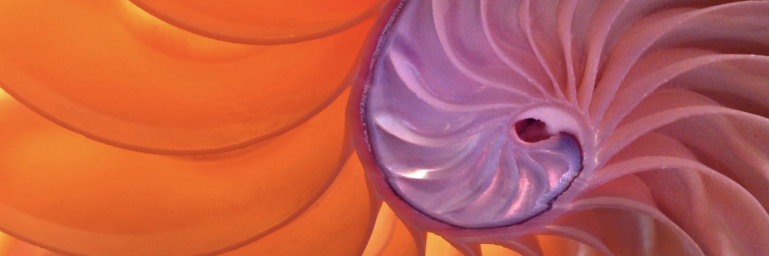 AlisonFrance's profile banner image
