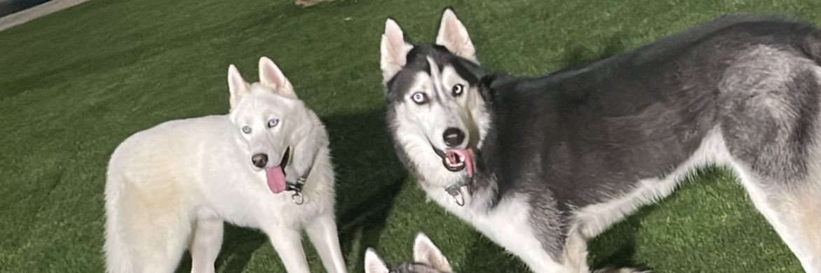 Roberto Soldado banner