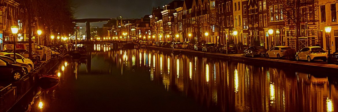 Ana Arias Calvo banner