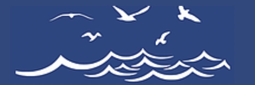 Bluewatch Ventures banner