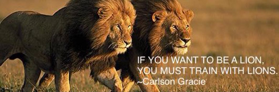 Carter Boothe banner