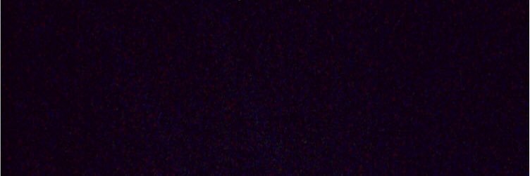 caccotan's profile banner image