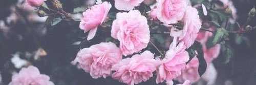 MaryL7J's profile banner image
