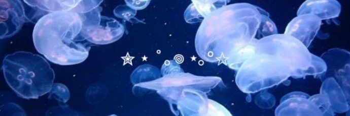 laviedumatcha's profile banner image