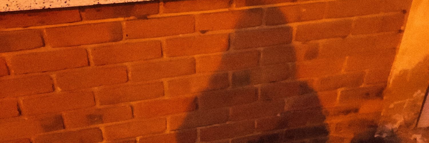 Snowl04's profile banner image