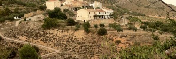 Vicenta González banner