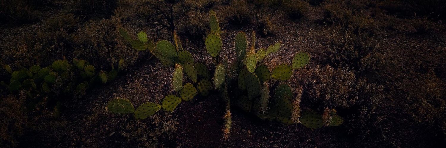 thelostinner's profile banner image