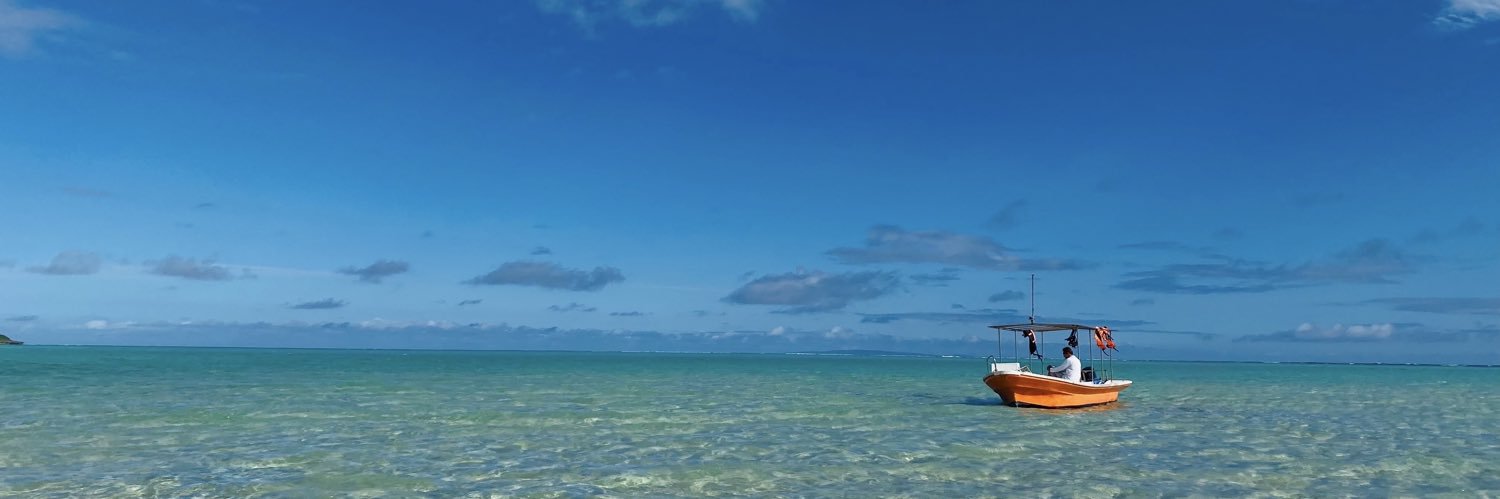 peacemomo's profile banner image