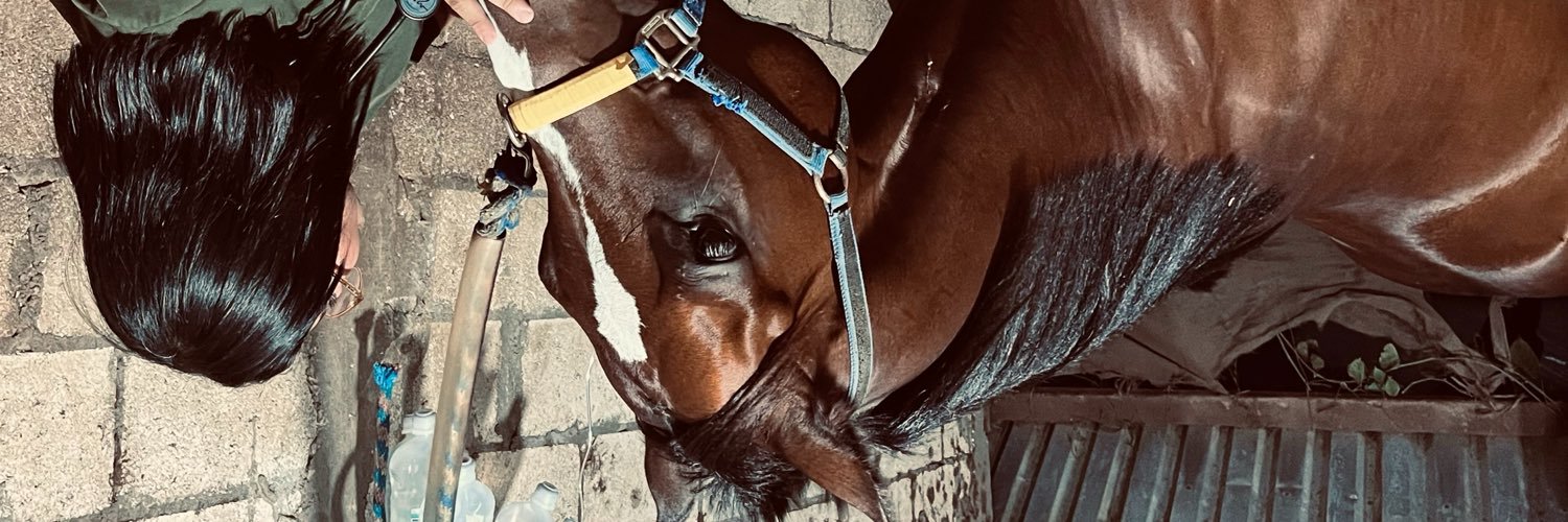 MitzyCano4's profile banner image