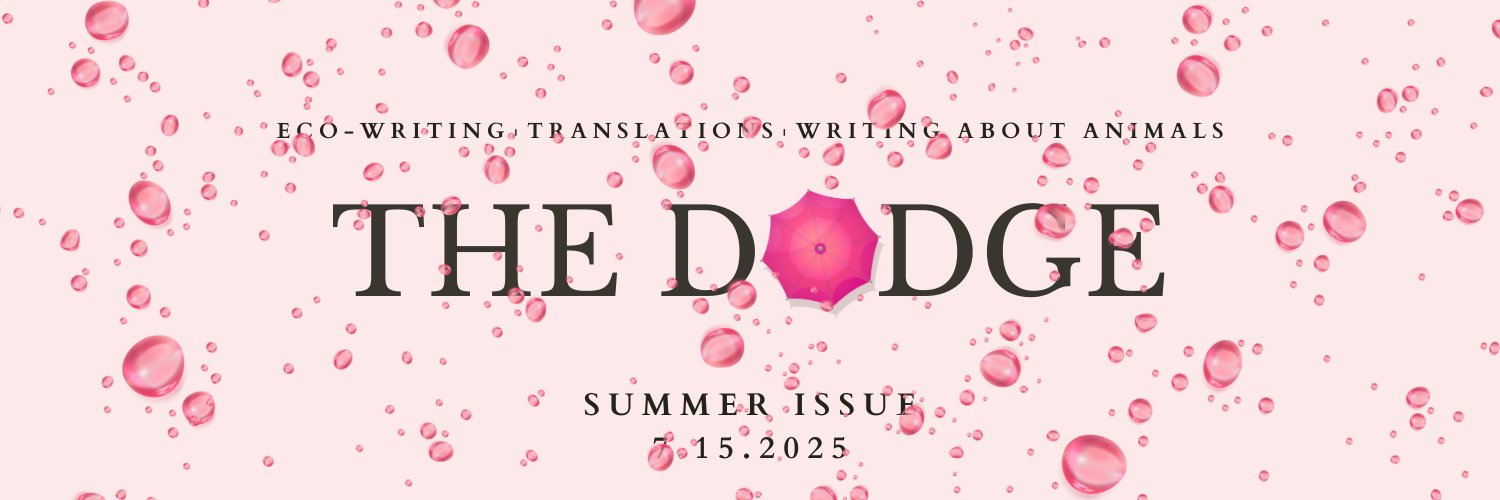 The Dodge's banner