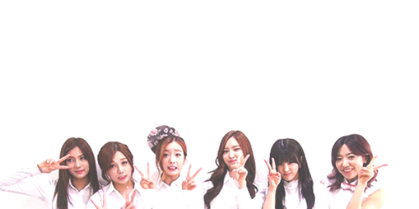 fairypcr's profile banner image